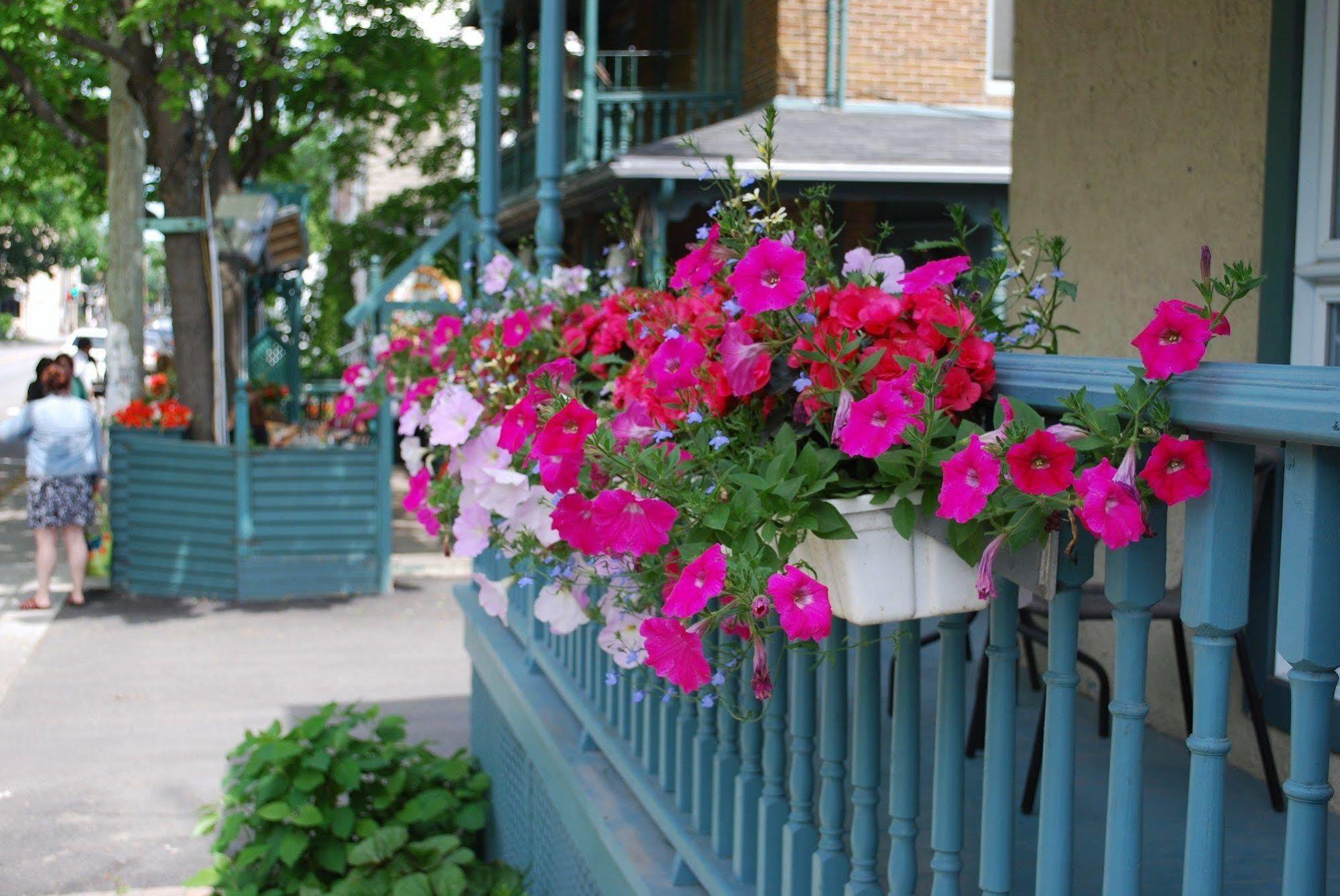 De L'evêché Mini-hôtel Rimouski